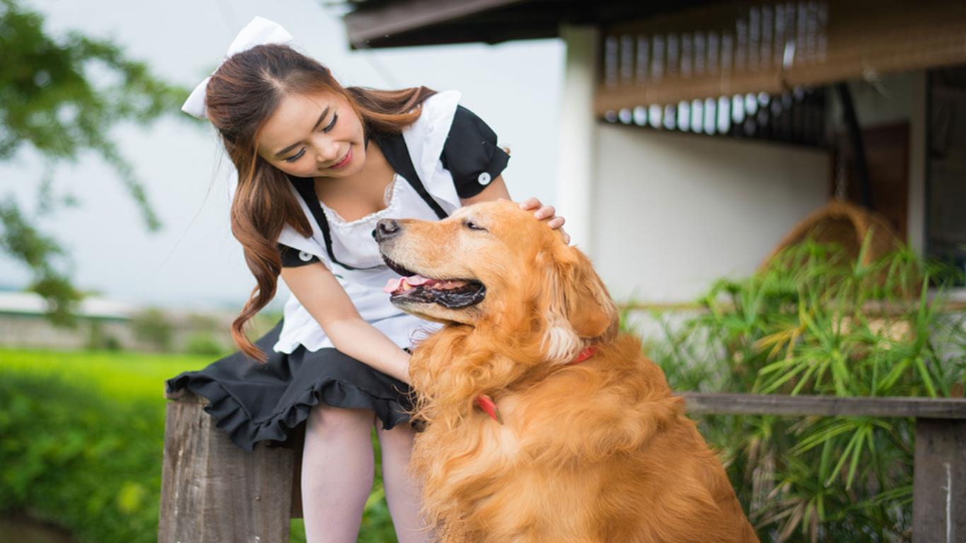 Dog staff