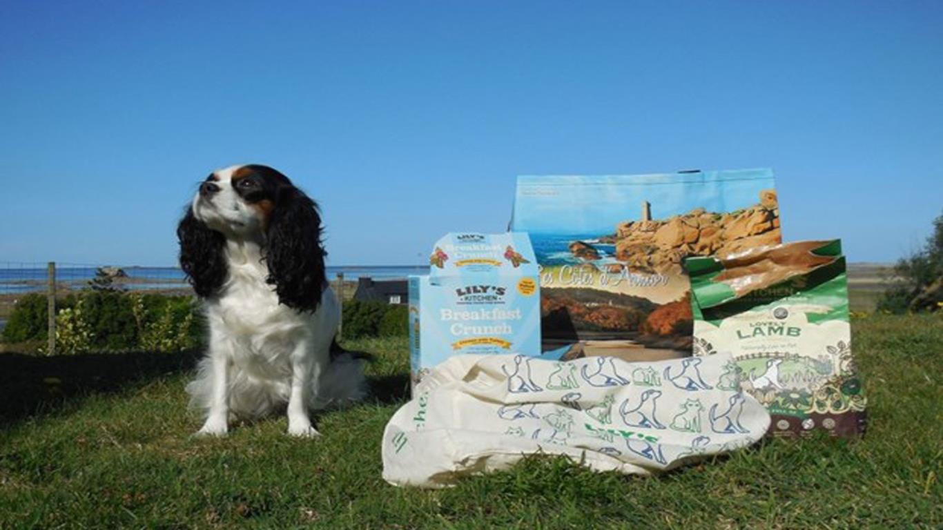 Dog gourmet food