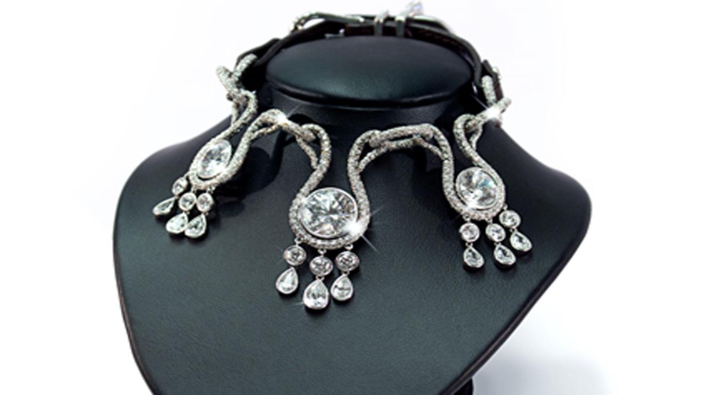 Dog jewelry