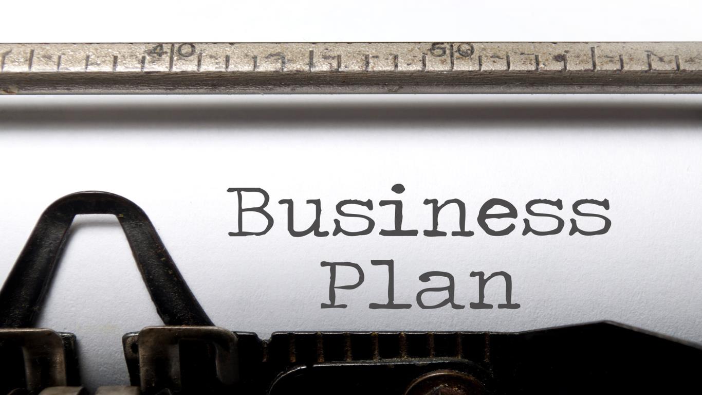 Savvy business plan