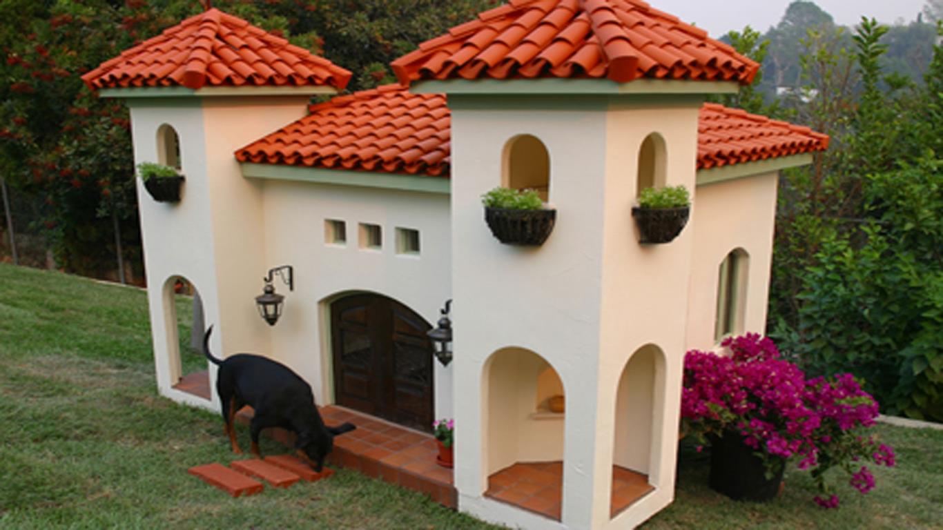 Dog houses