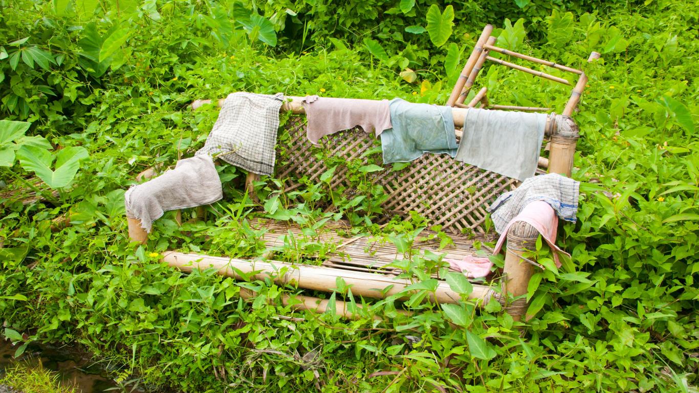 An untidy garden