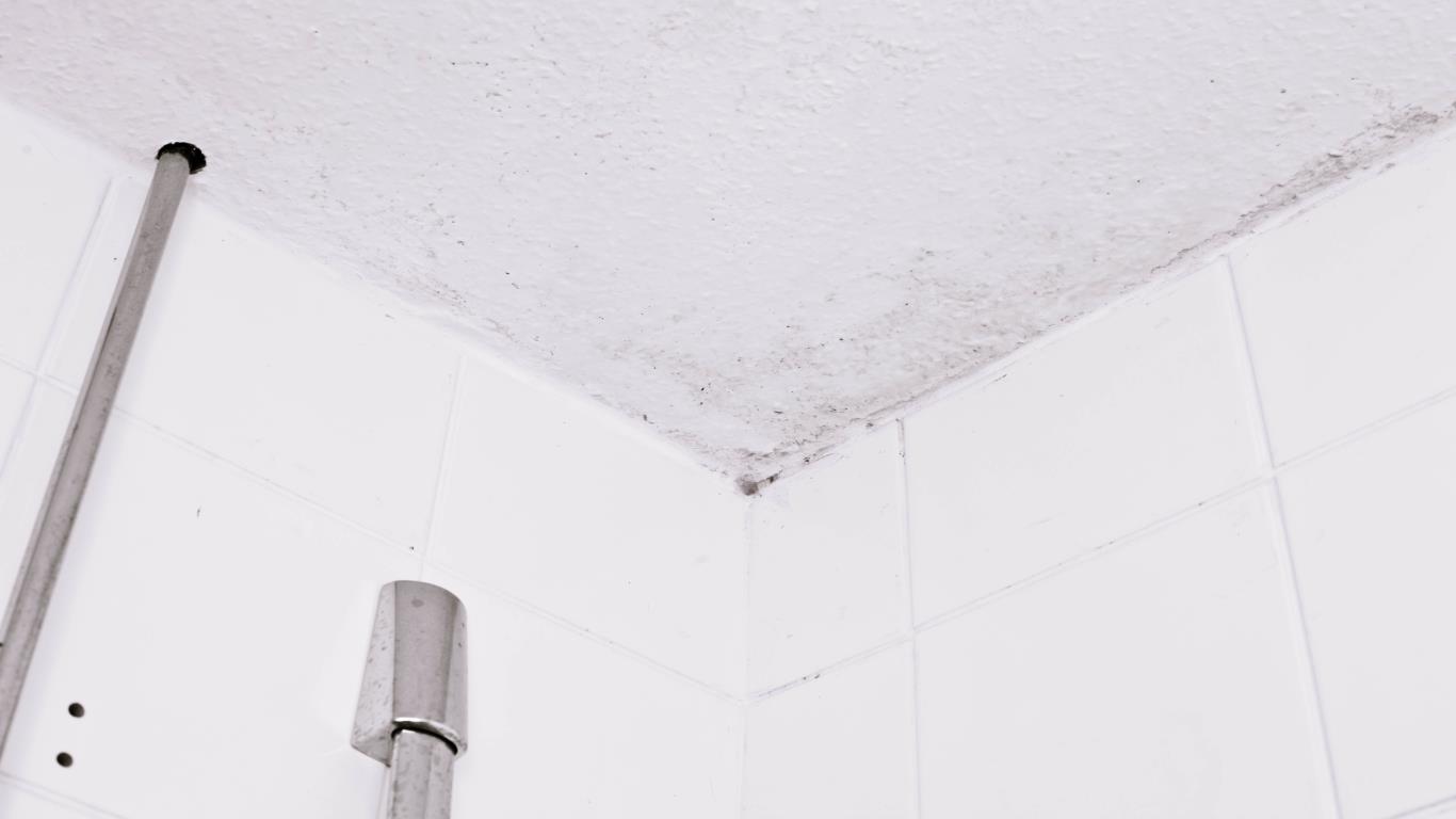 A mouldy bathroom