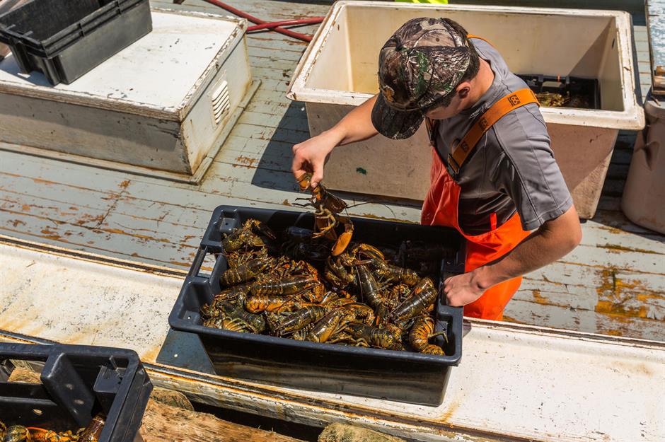 Canada is the world's leading exporter of lobster meat, oats, newsprint and more