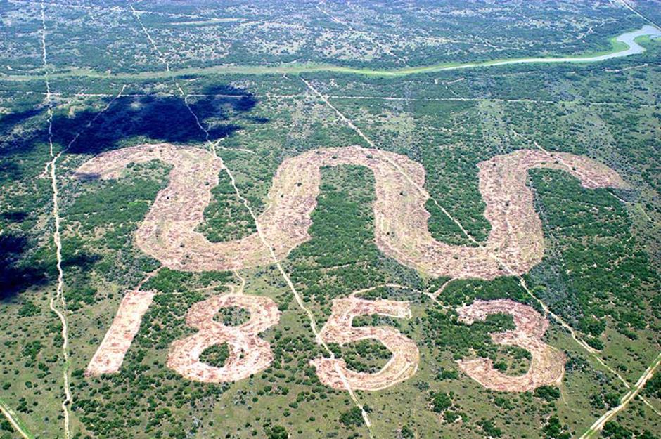 10. King Ranch heirs: 911,215 acres