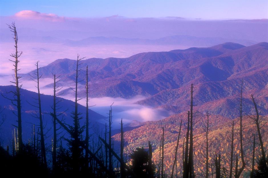 But even the Smokies aren’t immune to pollution