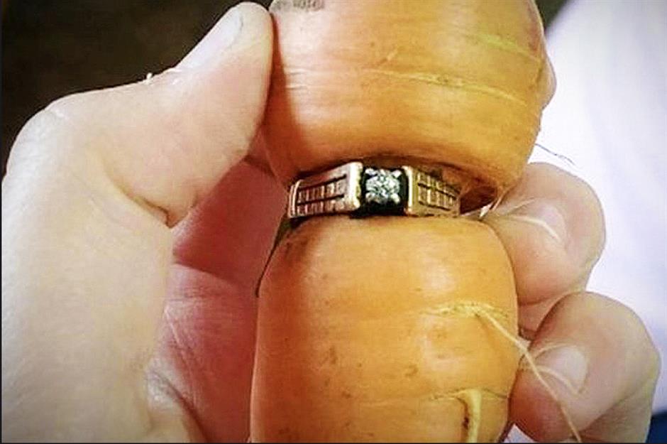 Impressive outdoor finds