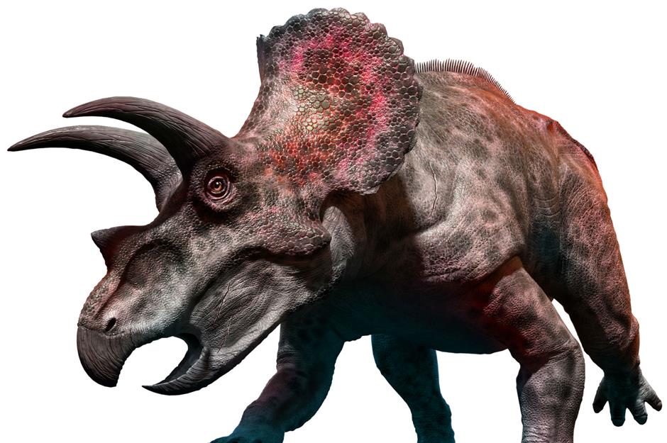 The world's most valuable dinosaurs ever found | lovemoney.com