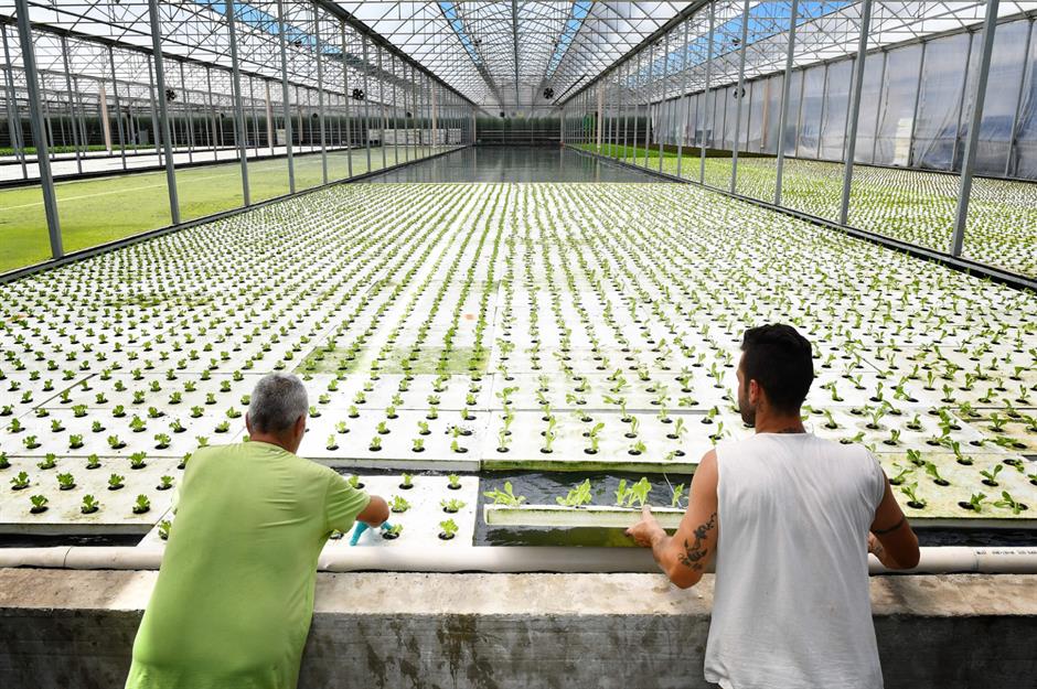 Farms of the future set to reshape the agriculture industry