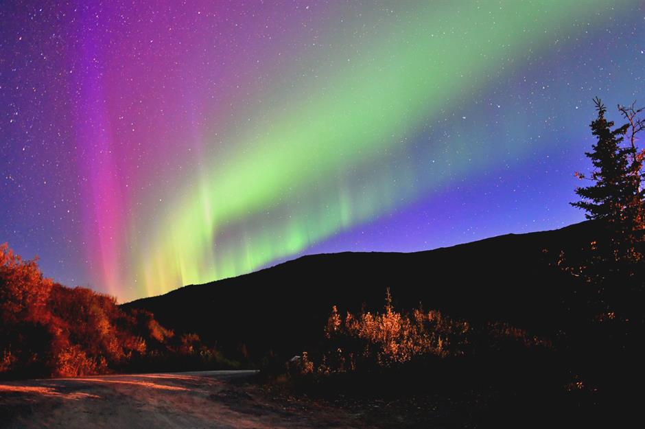 Glow in the Dark Northern Lights – The Warrior's Post