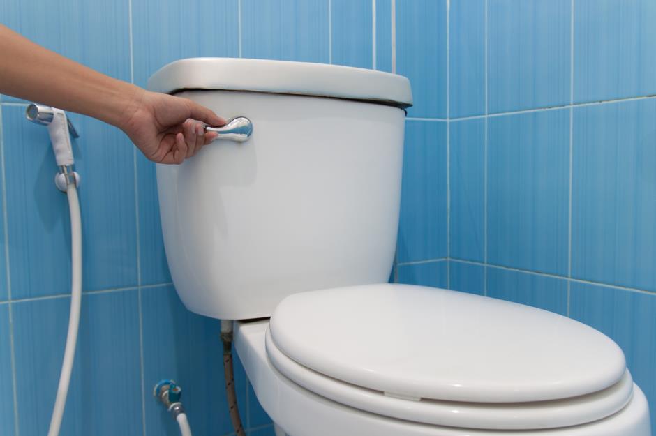 Maryland: Toilet flushes