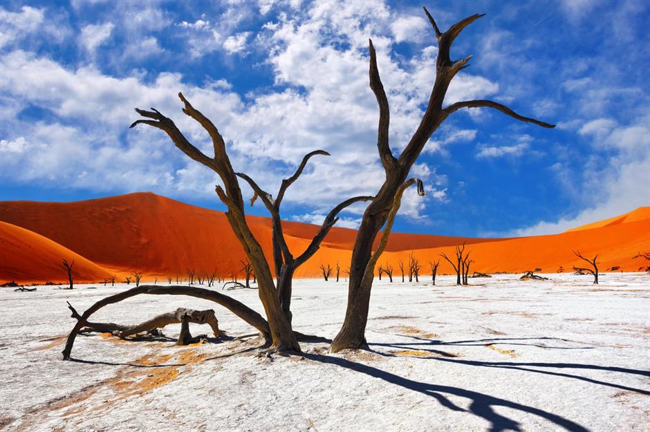 Out-of-this-world wonders