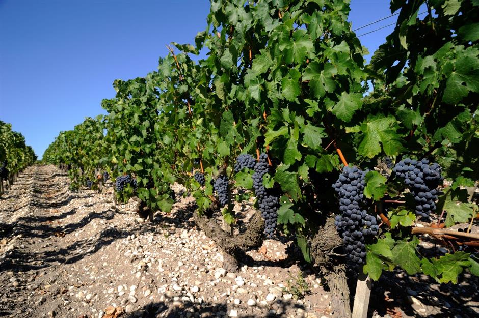 Weintrinken in Bordeaux
