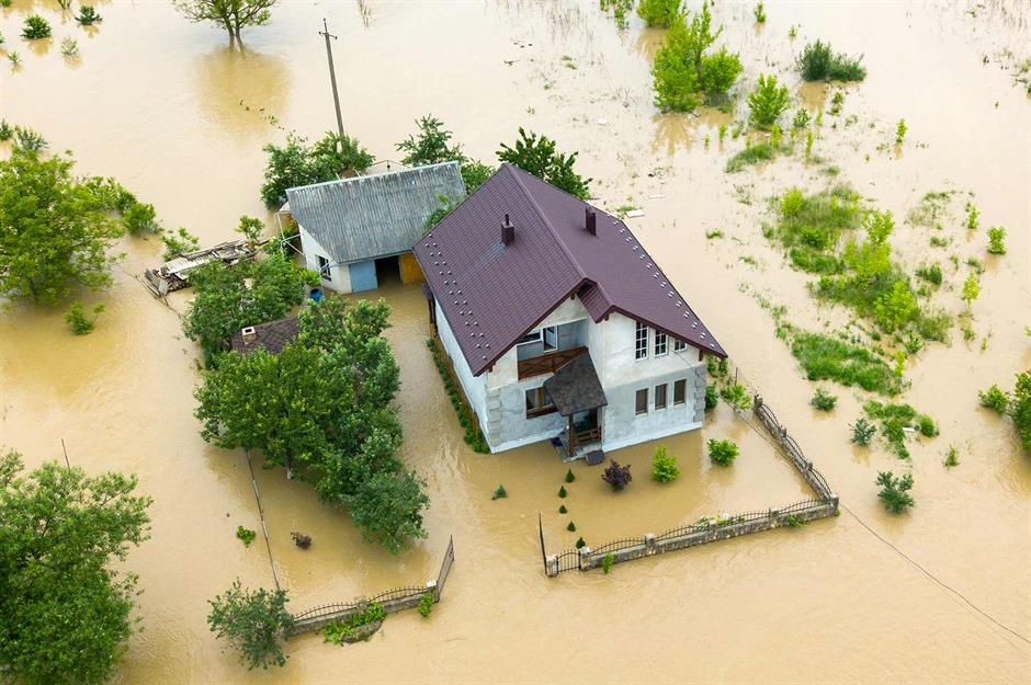 Sustenance, shelter and safety