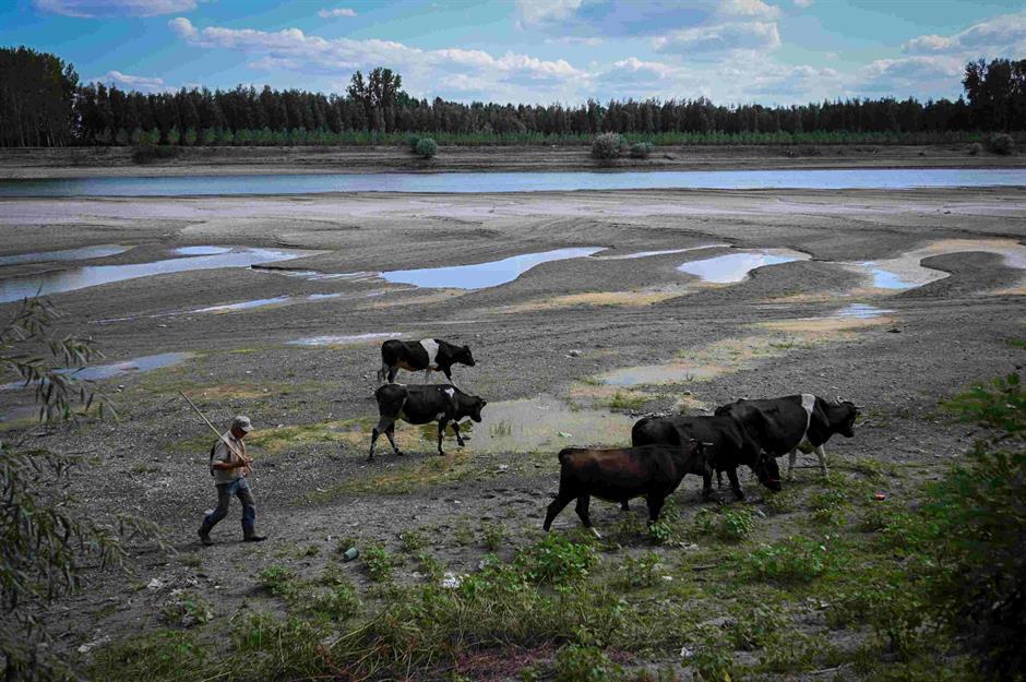 Endangered rivers