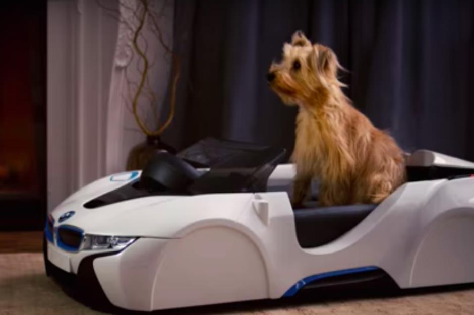 BMW tech meets the dog bed