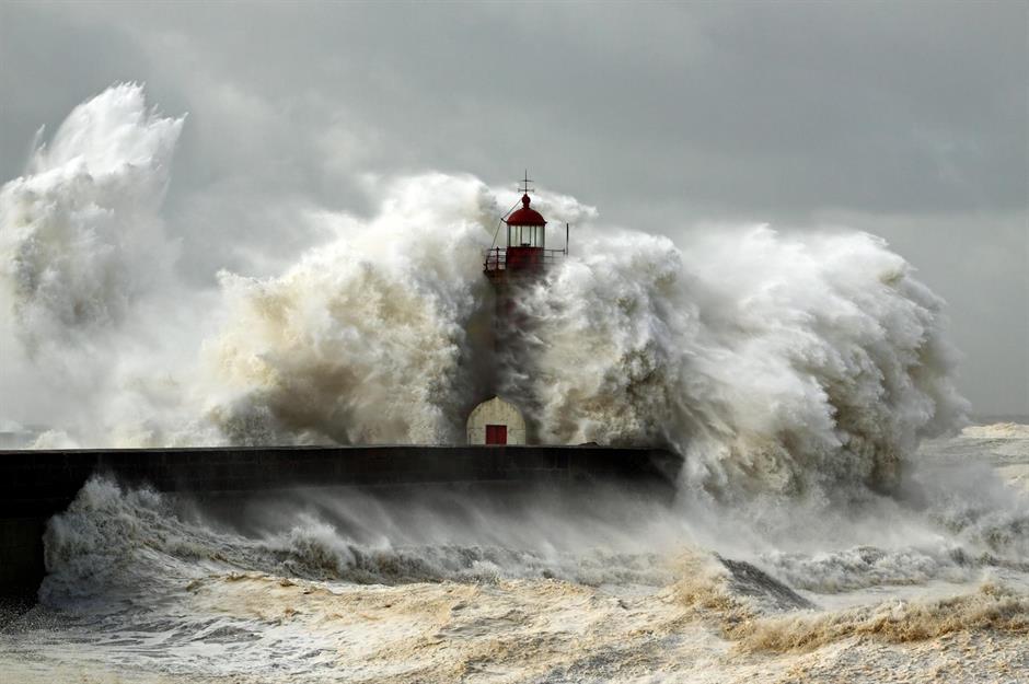 Nature at its most thrilling