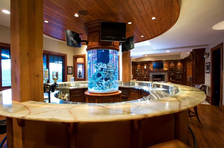 Amazing Aquariums Only Millionaires Can Afford Loveproperty Com