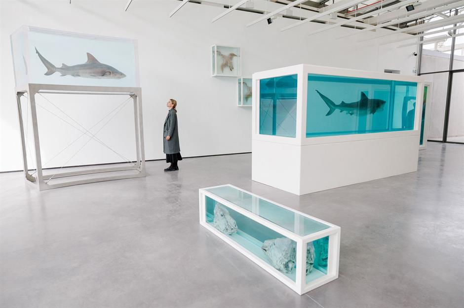 Damien Hirst art