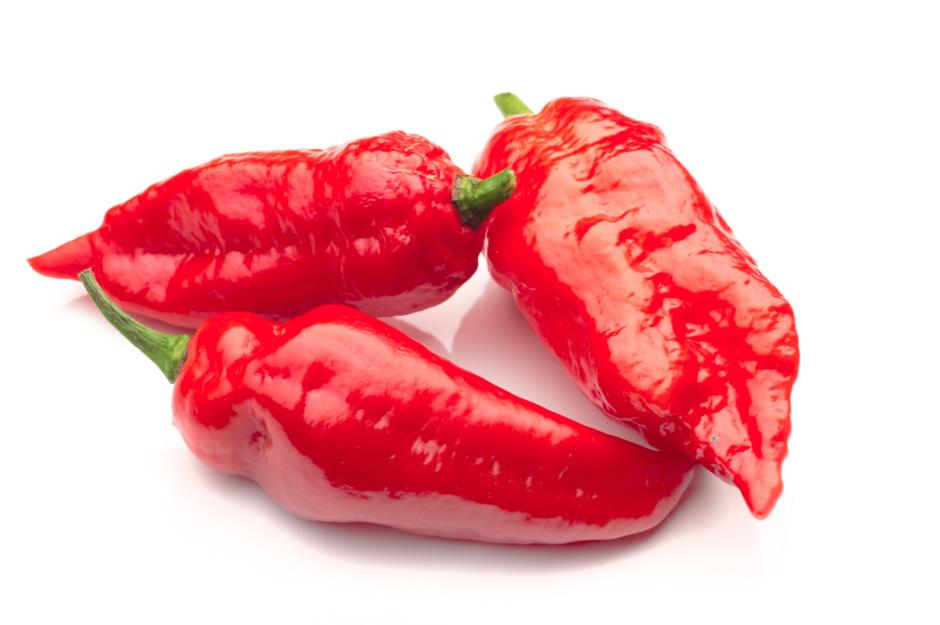 What is the hottest chilli in the world? | lovefood.com