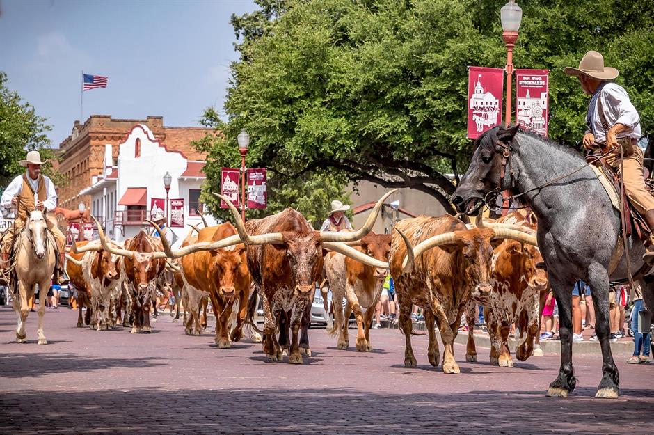 The best of the Lone Star State