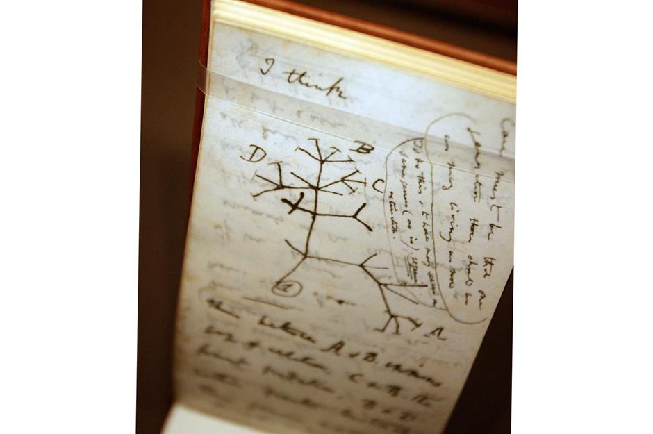 Charles Darwin's missing notebooks