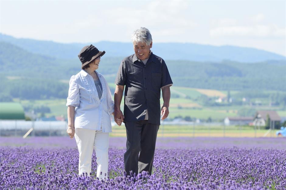 22. Platz: Japan