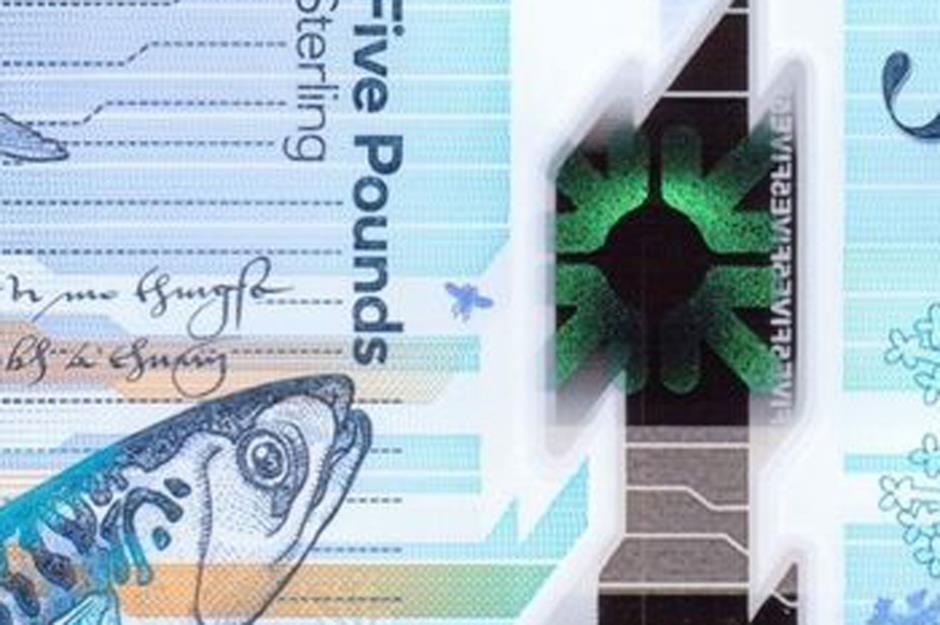 New Scottish £5 note: midges