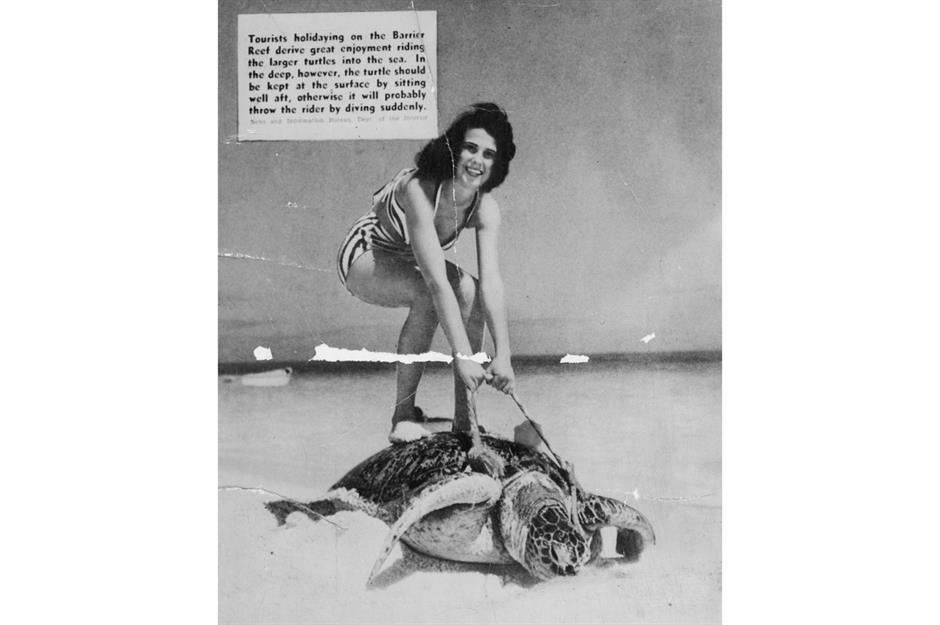 Then: The Great Barrier Reef, Queensland