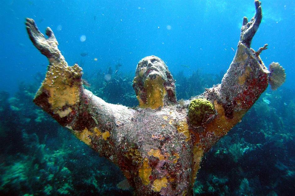 Intriguing secrets from the underwater world