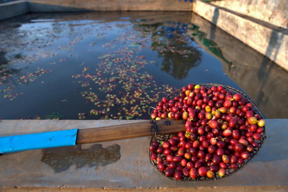 How much water does it take to make a cup of coffee?