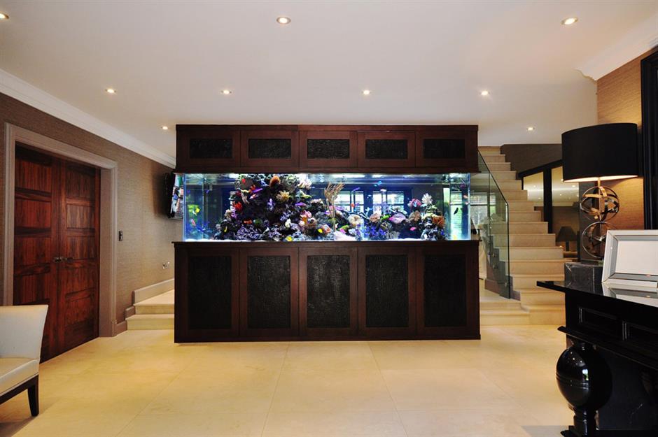 Saltwater Basement Aquarium - Aquarium Architecture