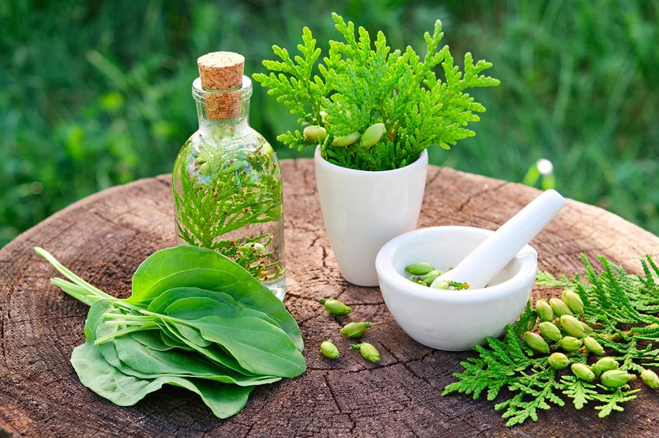 Modern medicine or herbal health?