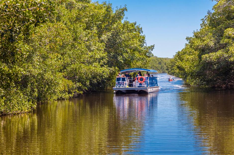 The Everglades, Florida: Feels like a jaunt in the South American jungle