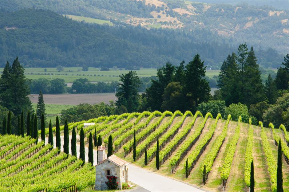 Napa Valley, California: Feels like a Tuscan tour