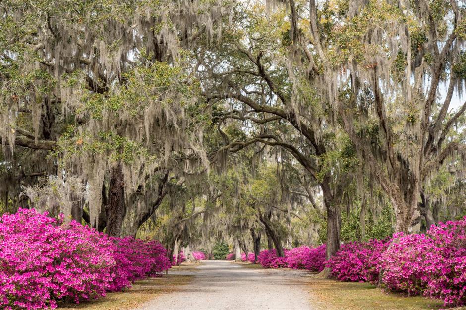 Savannah, Georgia: Feels like a European city break