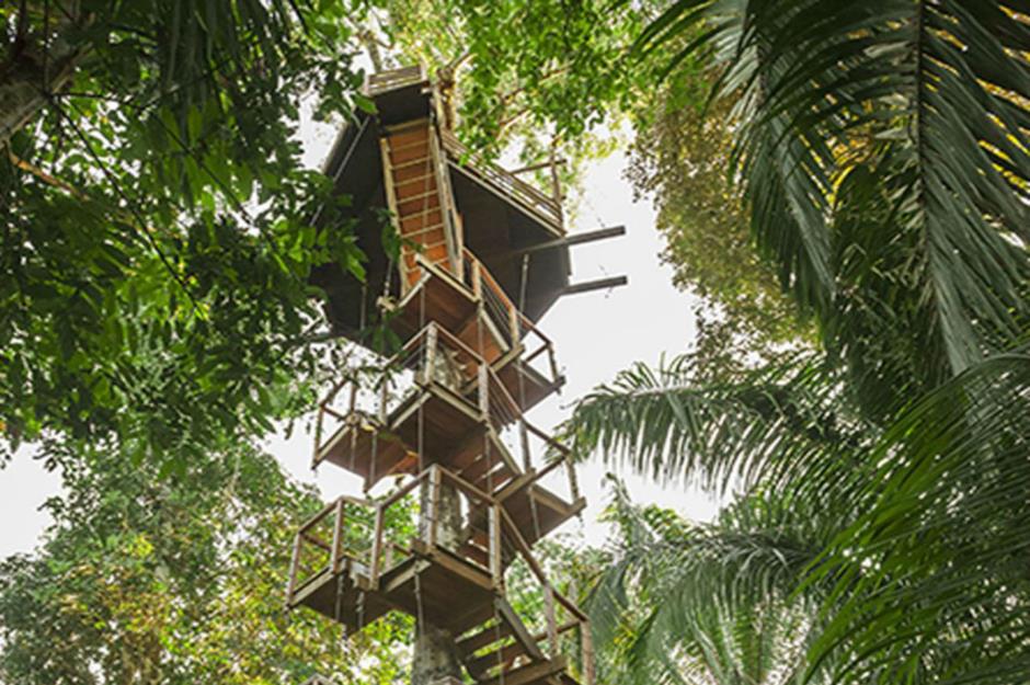 Canopy Tree House, Peru: $695 (£558) per night