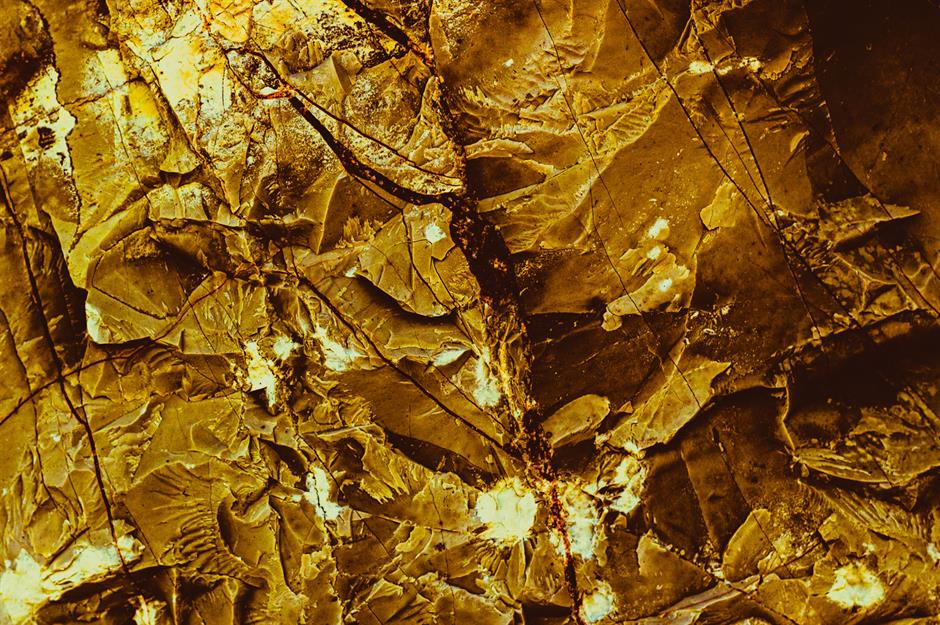 The gold discoveries that changed US history