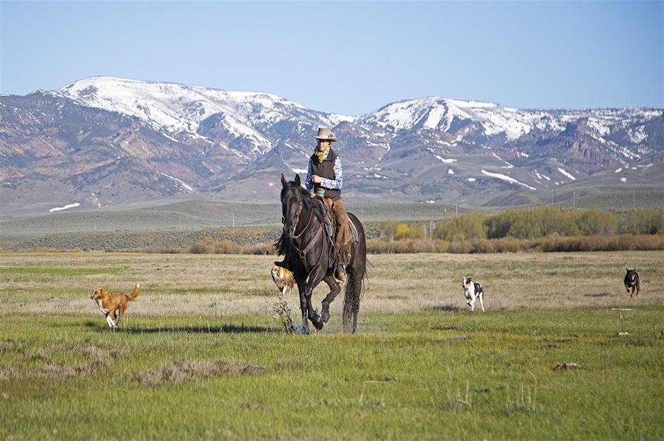 The best of the West