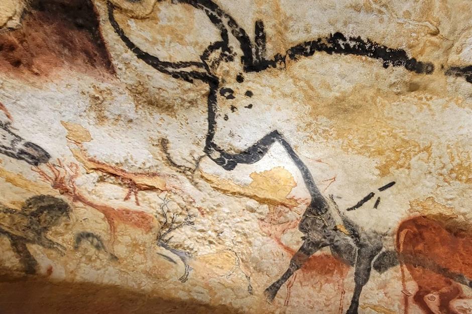 Fascinating finds