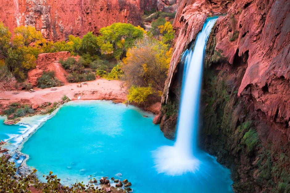 Wonder falls