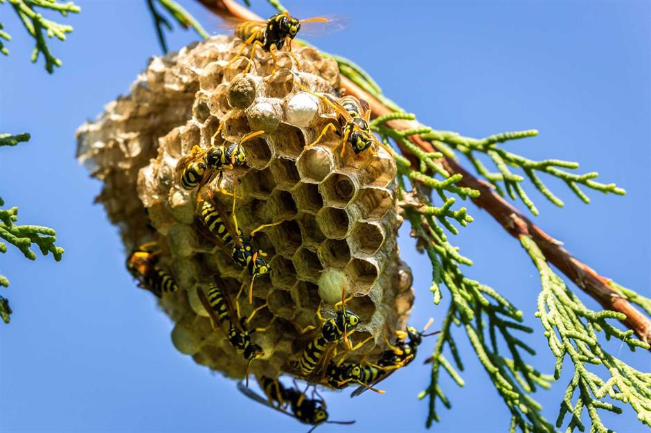 Banish warm-weather critters for good