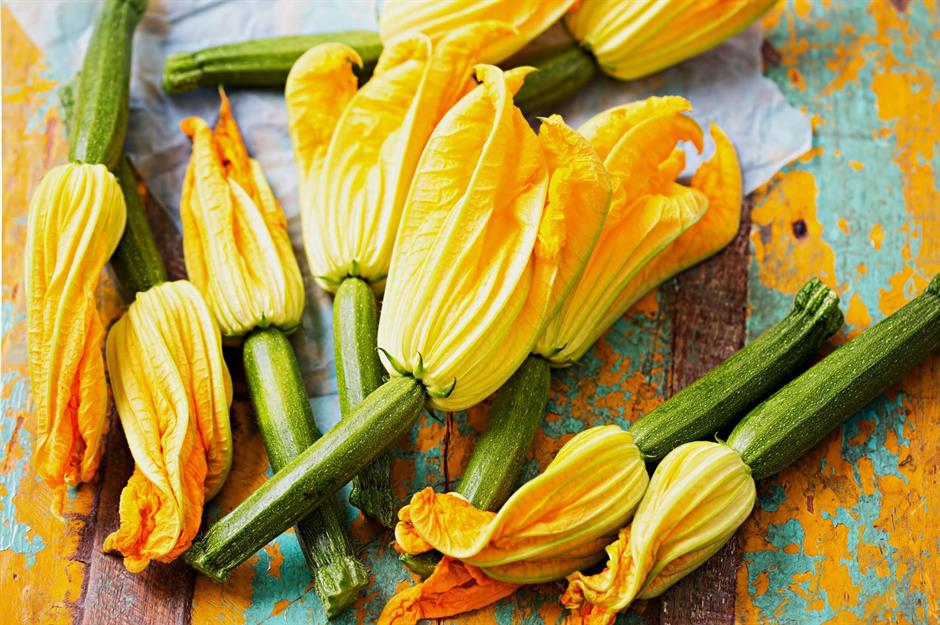 Von Zucchini-Blüten bis Kiwischalen
