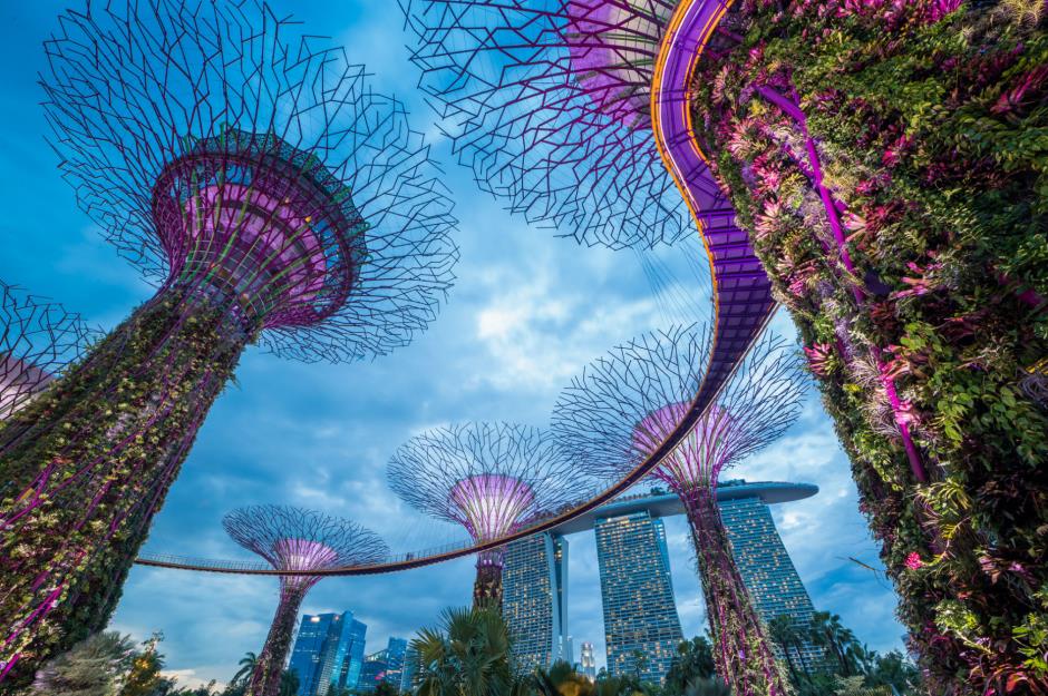 7th most expensive country: Singapore (81.9)