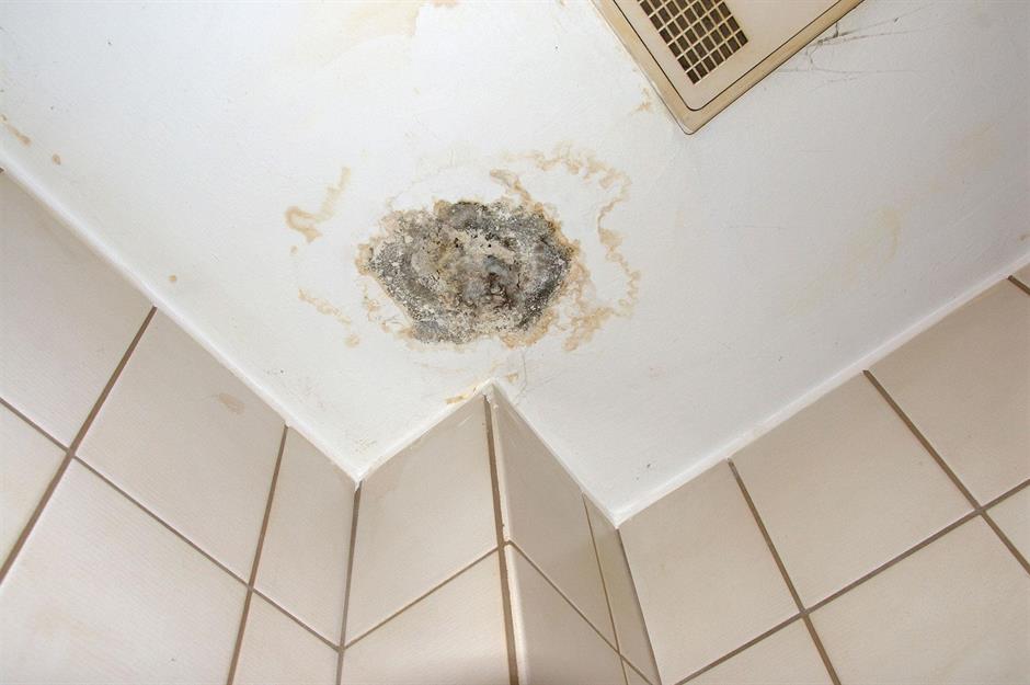 How to banish mold from your home for good