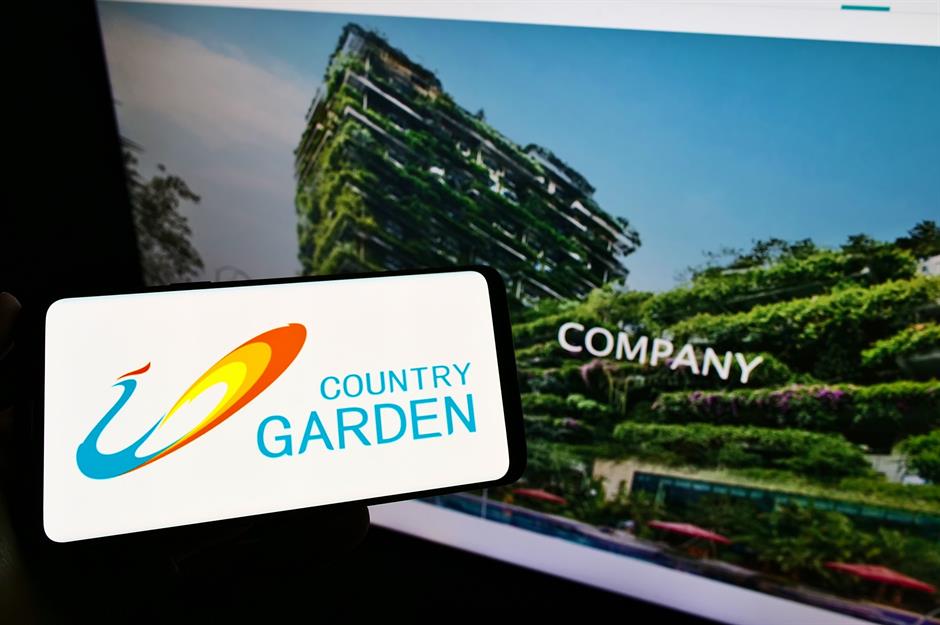 14th: Country Garden Holdings Co Ltd (Yang Guoqiang)