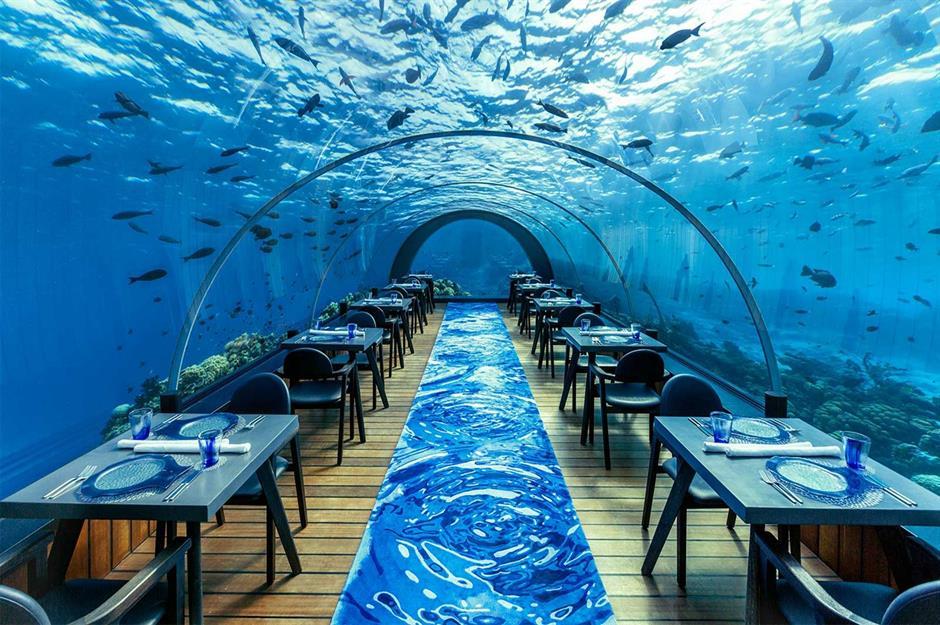 Haute Cuisine unter der Wasseroberfläche