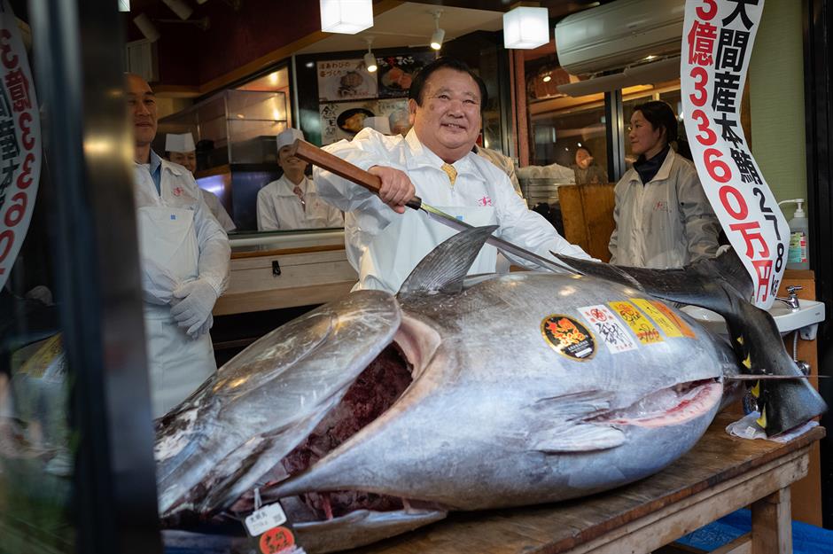 Bluefin tuna – $3.1 million (£2.4m)