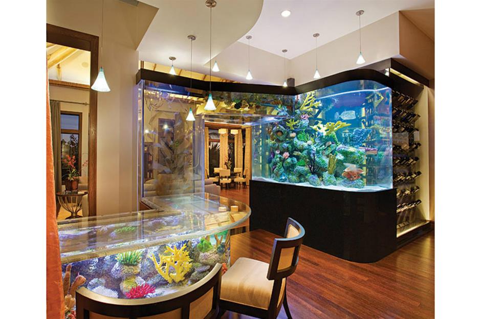 Amazing Aquariums Only Millionaires Can Afford