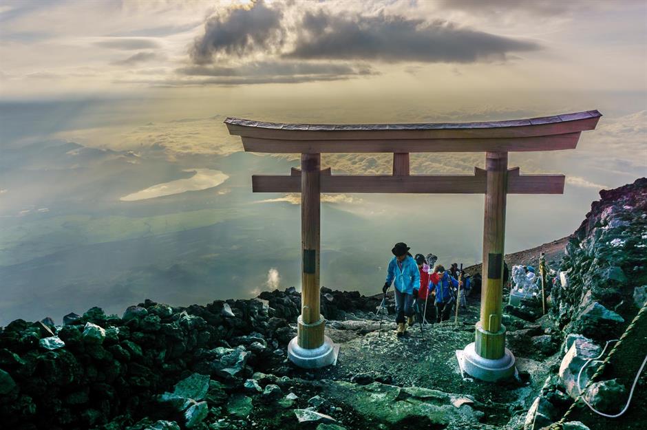 Rise to the top